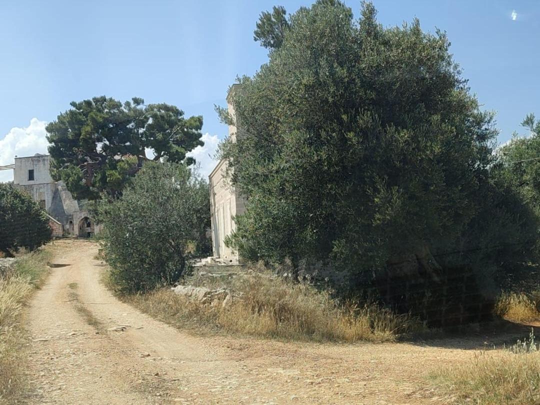 La Guendalina Masseria E Casa Particular Bed and Breakfast Monopoli Exteriör bild